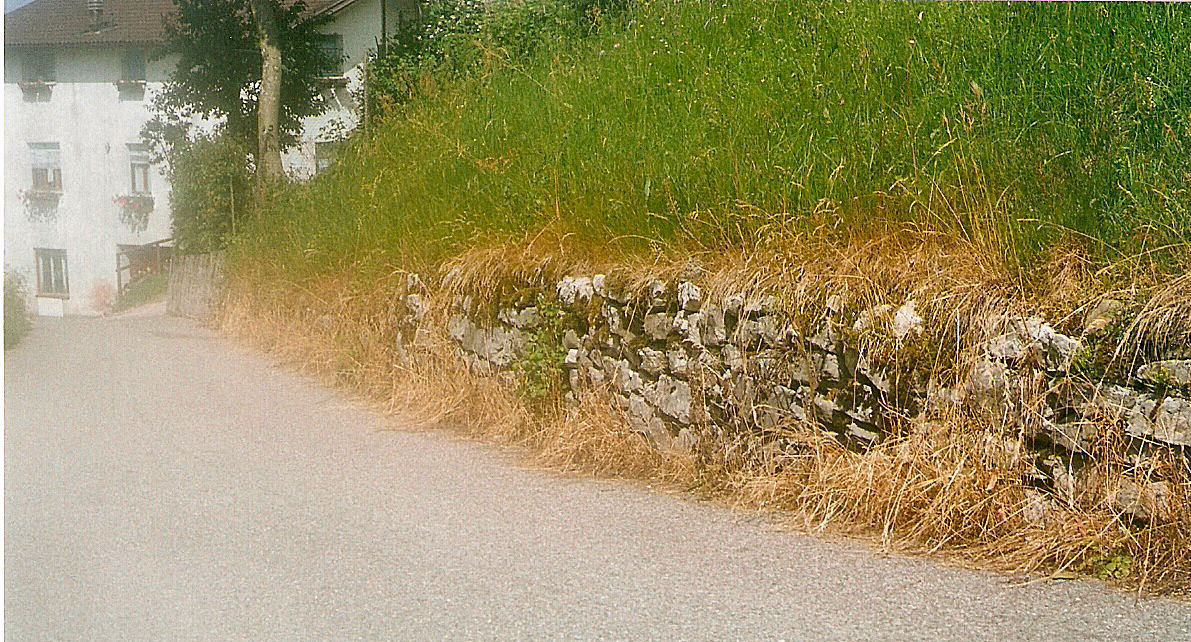 Porcen, località al Gàl: muro a secco trattato con sostanze chimiche per eliminare l'erba