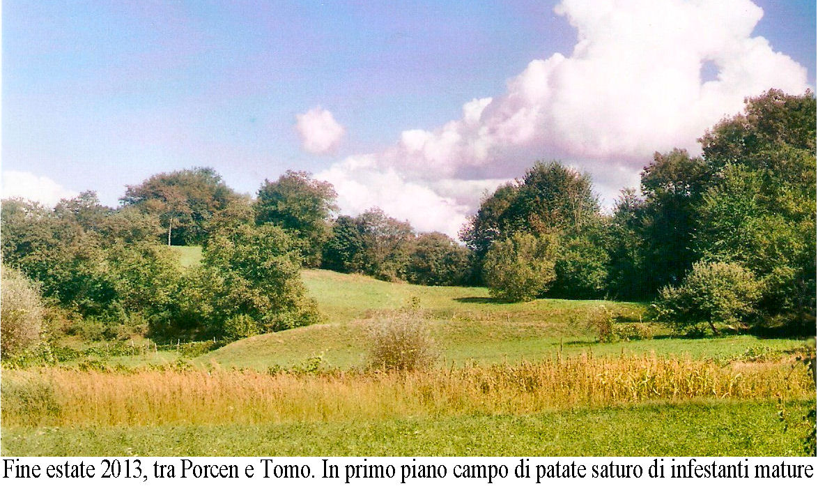 Sulla strada per Tomo