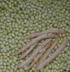 Fagioli Gialt secchi con baccelli