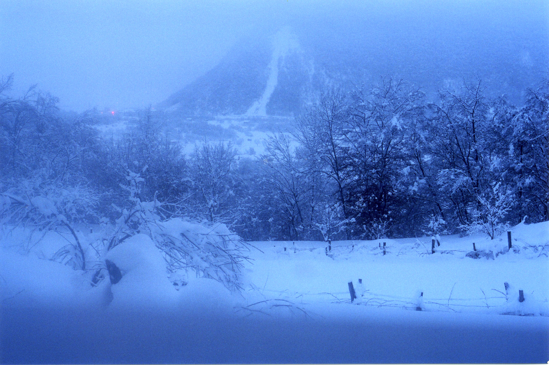 sabato 28 gennaio 2006: 123cm di neve sommergono le viti