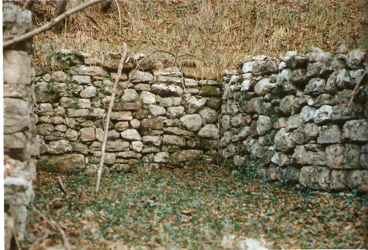 Rovine del Casn in localit le Coste: i muri perimetrali sono ancora intatti