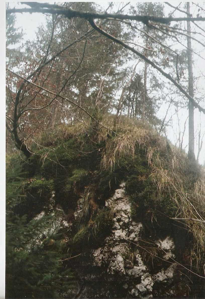 Sass del Termenn: lato Ovest
